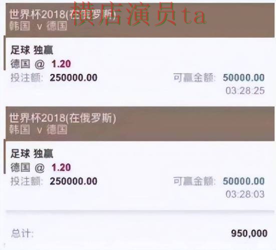 世界杯投注平台推荐合集：覆盖玩法指南与入口方式 - 世界杯直播